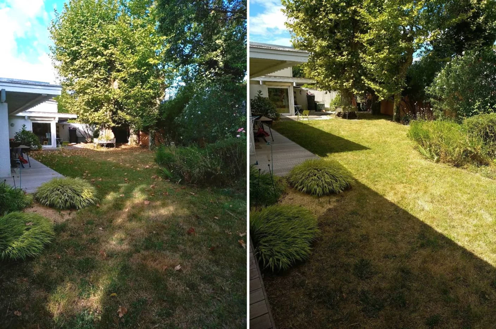 Réfection de jardin à Mardié
