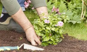 Creation de jardin a Bou